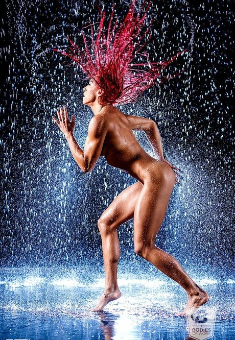 Bodybuildingcoms Bodieswork