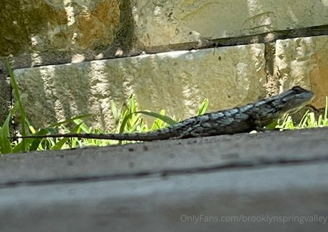 Brooklynspringvalley