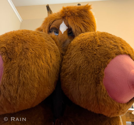 Rainhorsie