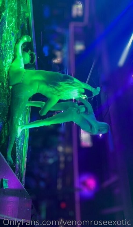 Venomroseexotic