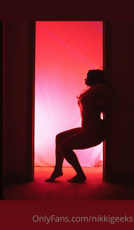 Nikkigeeks