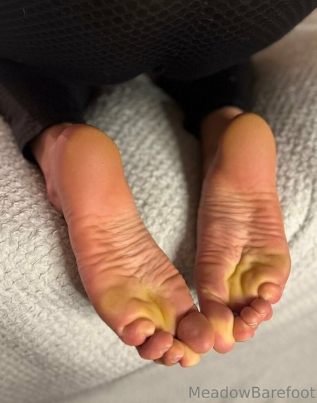 Meadowbarefoot