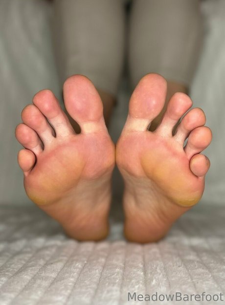 Meadowbarefoot