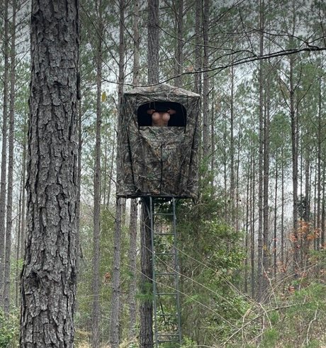 Kimberleysadventures