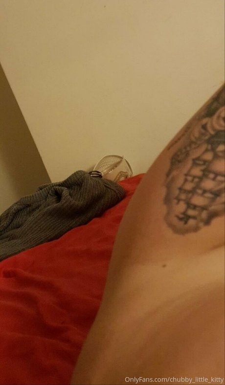 Chubbylittlekitty