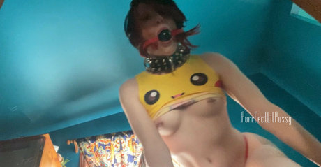 Purrfectlilpussy