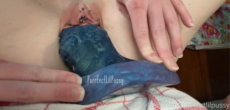 Purrfectlilpussy