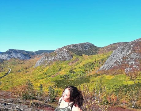 Lartdanstoutessesformes