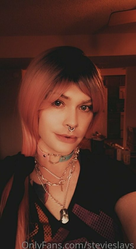Stevieslays
