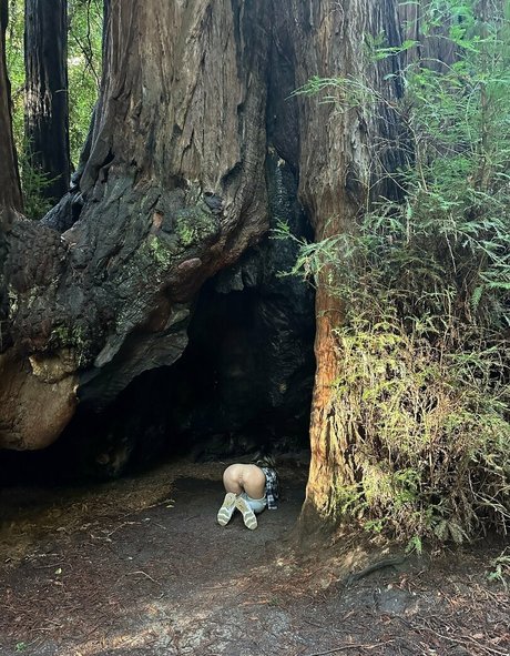 The Bite Sized Bitch