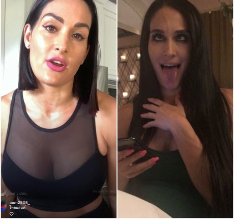 The Bella Twins