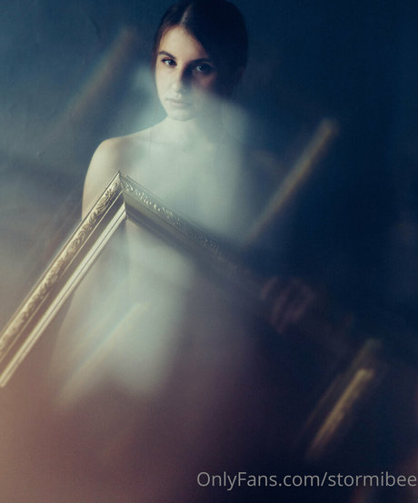 Stormibee