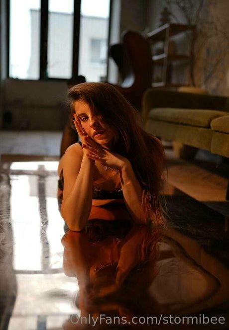 Stormibee