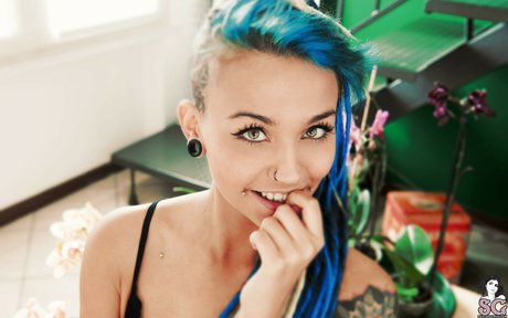 Fishball Suicide