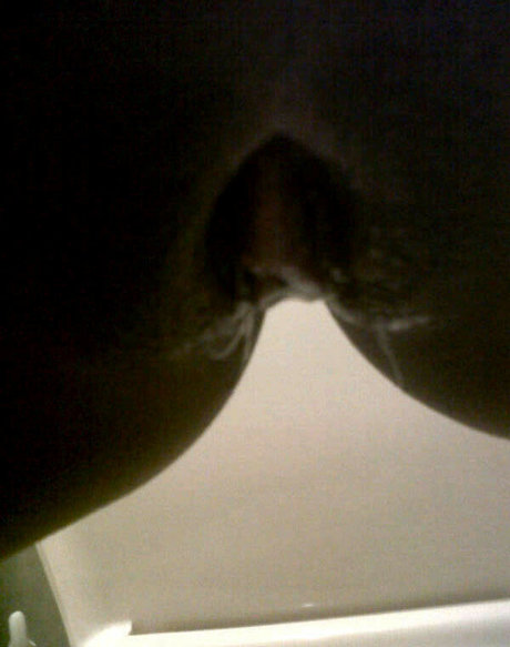 Exibam Sua Companheira