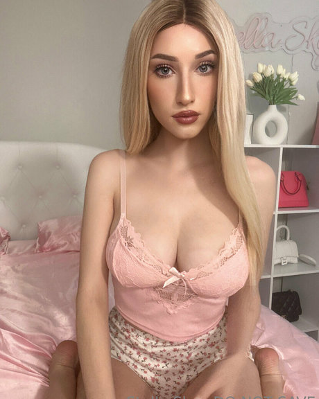 Vipstellaskye