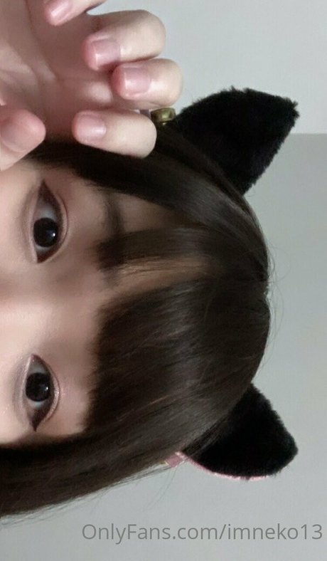 Imneko13