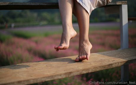 Eurasianfeet