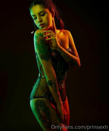 Prinsexh