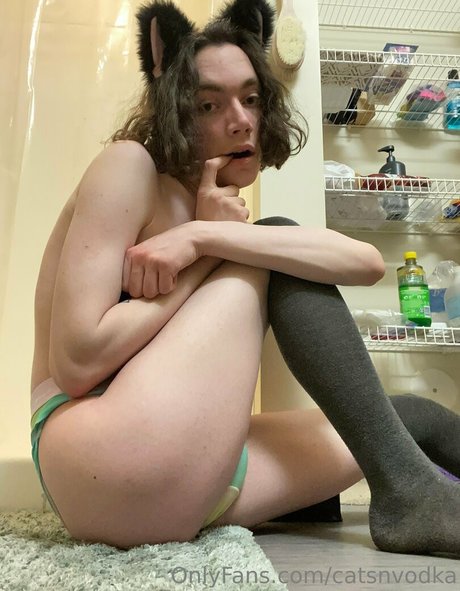 Catsnvodka