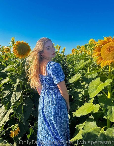 Blissful Whisper Asmr