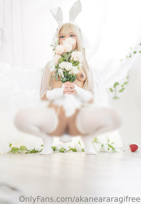Akaneararagifree