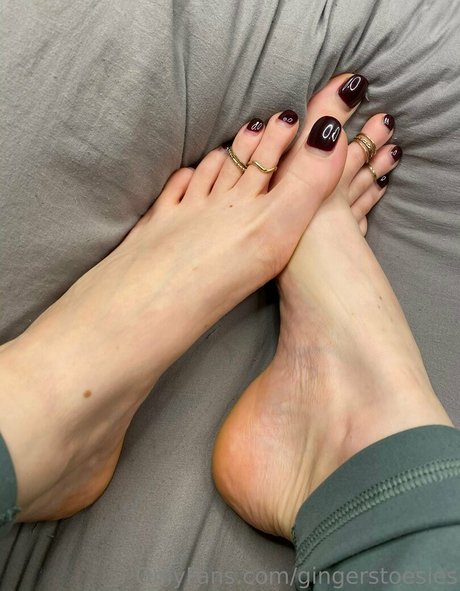 Gingerstoesies