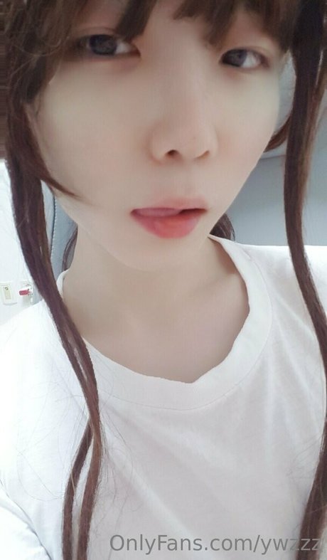 Ywzzz