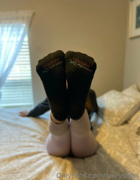 Ivorysoles
