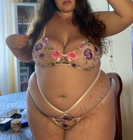 Bbwdemetra