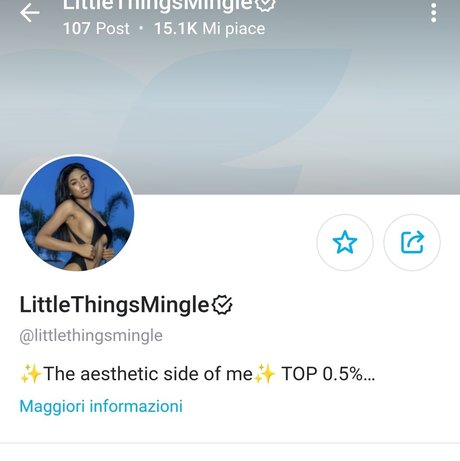 Littlethingsmingle