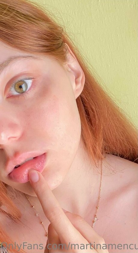 Martinamencucci
