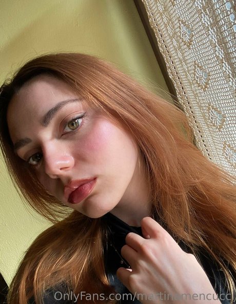 Martinamencucci