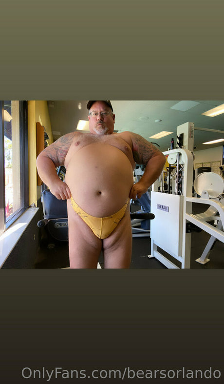Bearsorlando