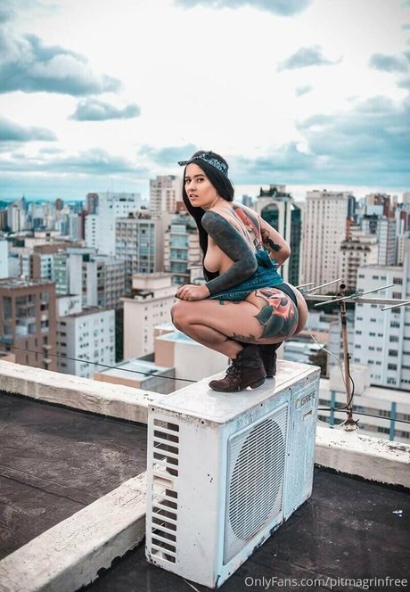 Pitmagrinfree
