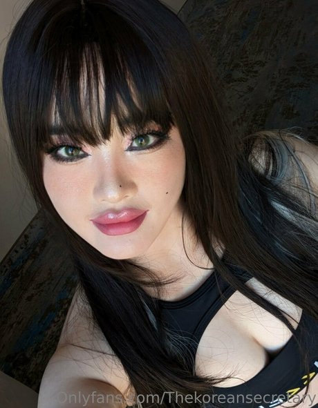 Thekoreansecretary