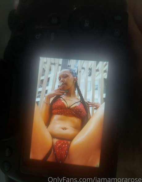 Iamamorarose