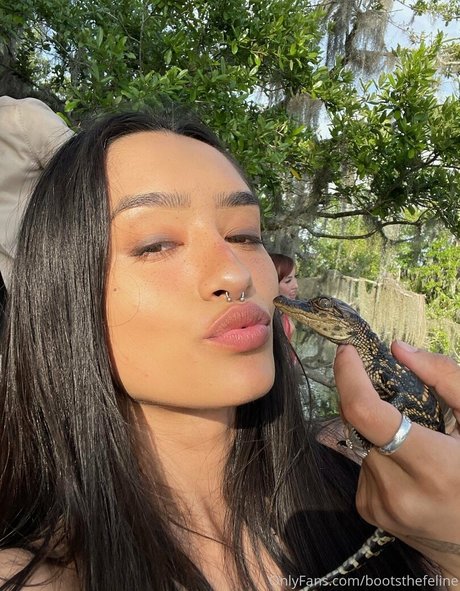 Bootsthefeline