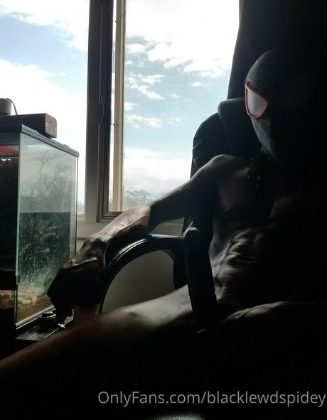 Blacklewdspidey
