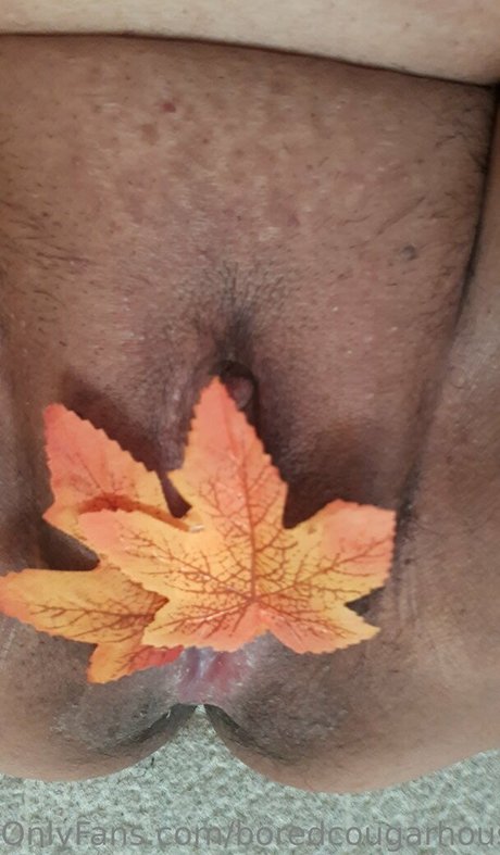 Boredcougarhousewife