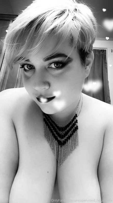 Unsupervisedhousewife