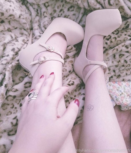 Princessdustmfc