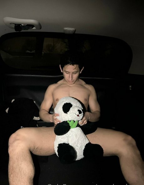 Pandaslover