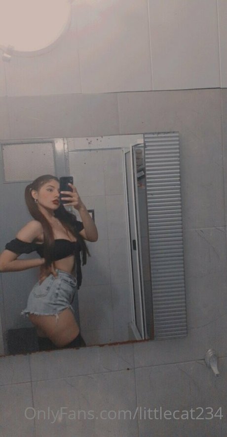 Littlecat234