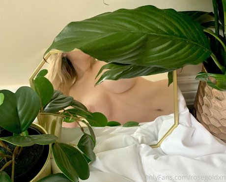 Rosegoldxn