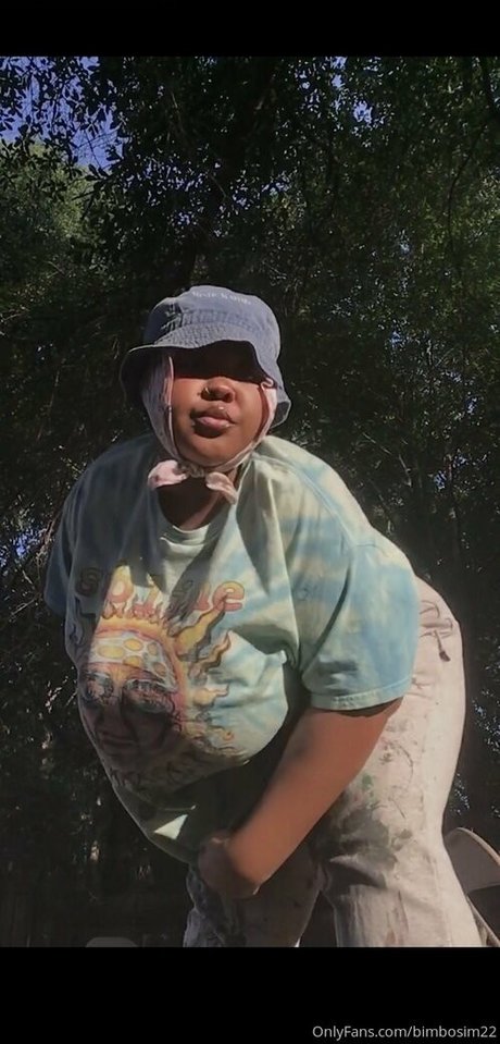 Bimbosim22