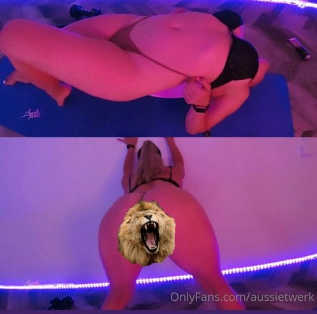 Aussietwerk